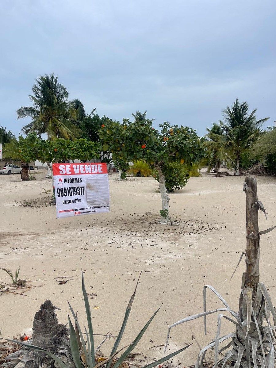 Terreno en Chicxulub Puerto, Progreso, foto 4 de 4