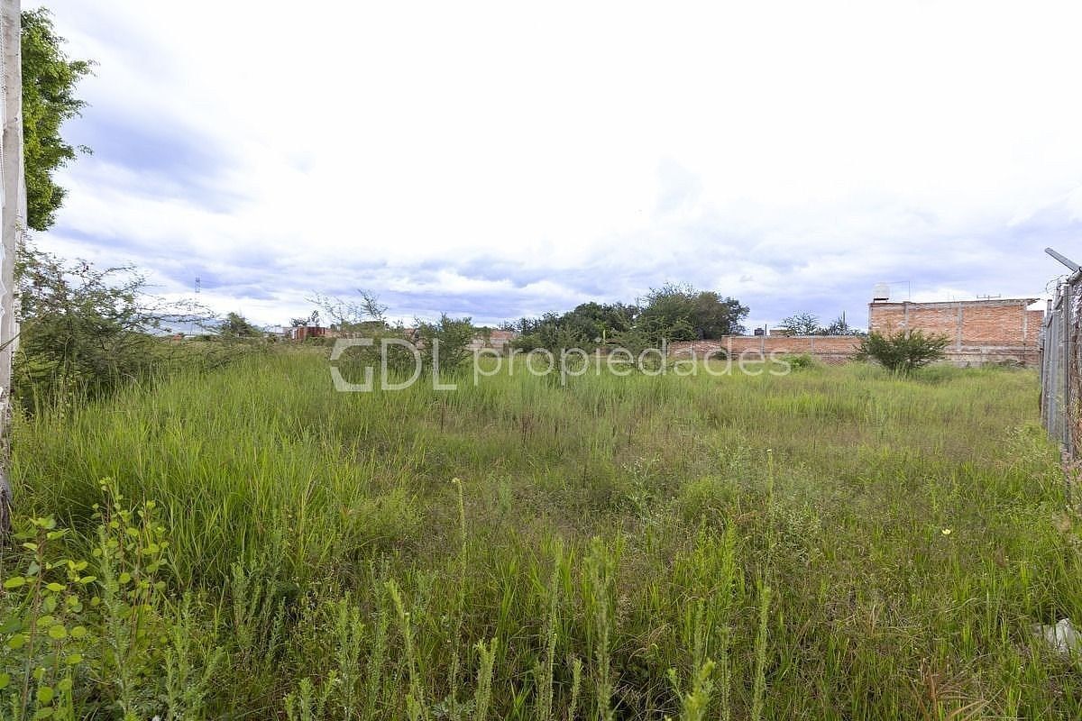 Lote em El Quince Centro, El Salto, foto 10 de 12