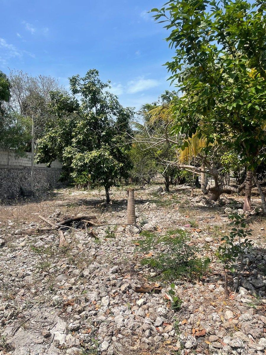 Terreno en Paraíso, Progreso, foto 4 de 6