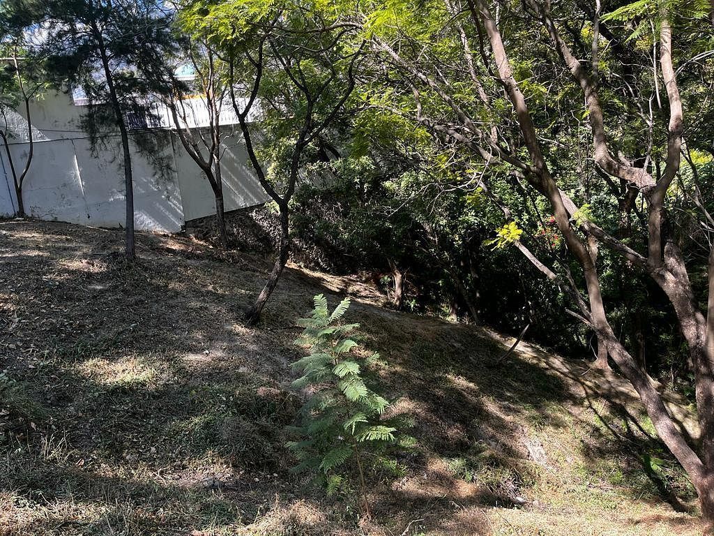Lot in Ajijic Centro, Chapala, photo 3 of 13