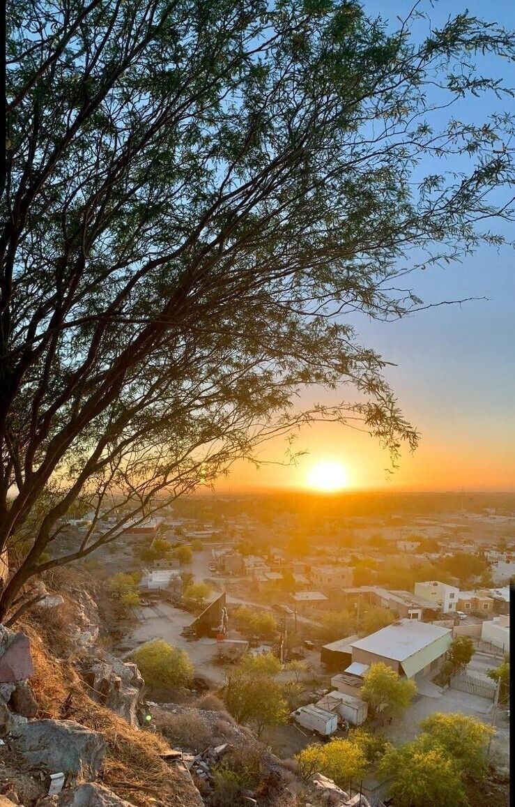 TERRENO EN VENTA, EN EL MEZQUITITO, foto 1 de 19