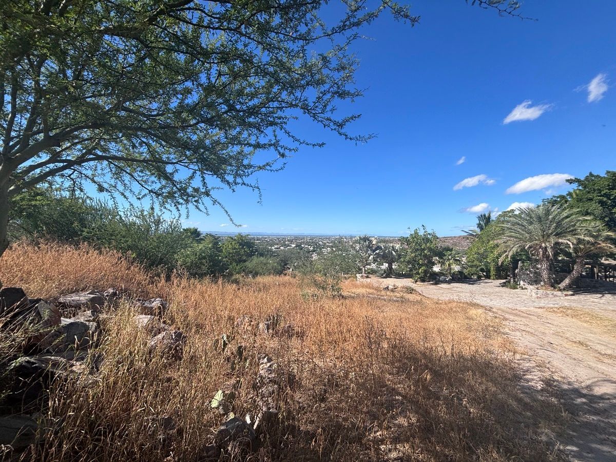 Lote em Mezquitito, La Paz, foto 14 de 19