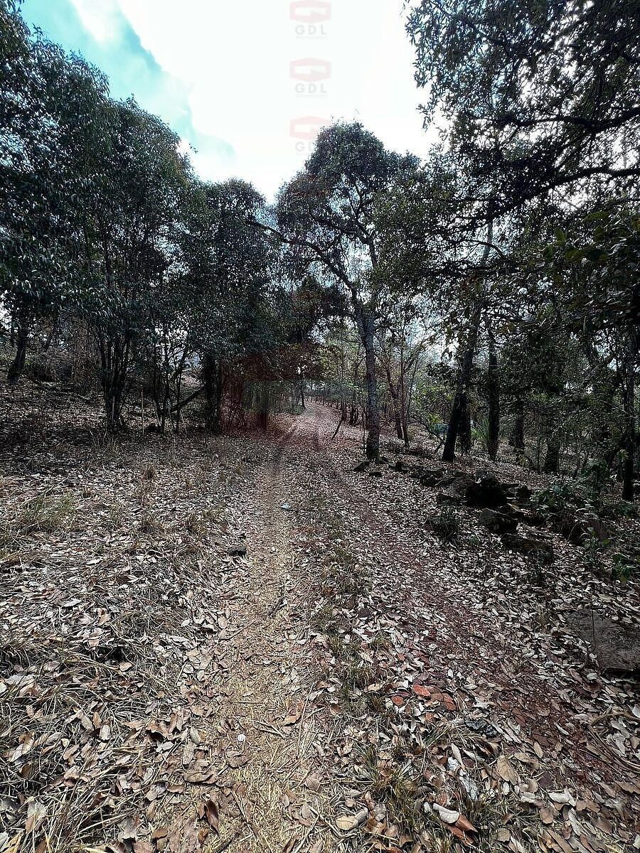 Lote em Arandas Centro, Arandas, foto 6 de 14