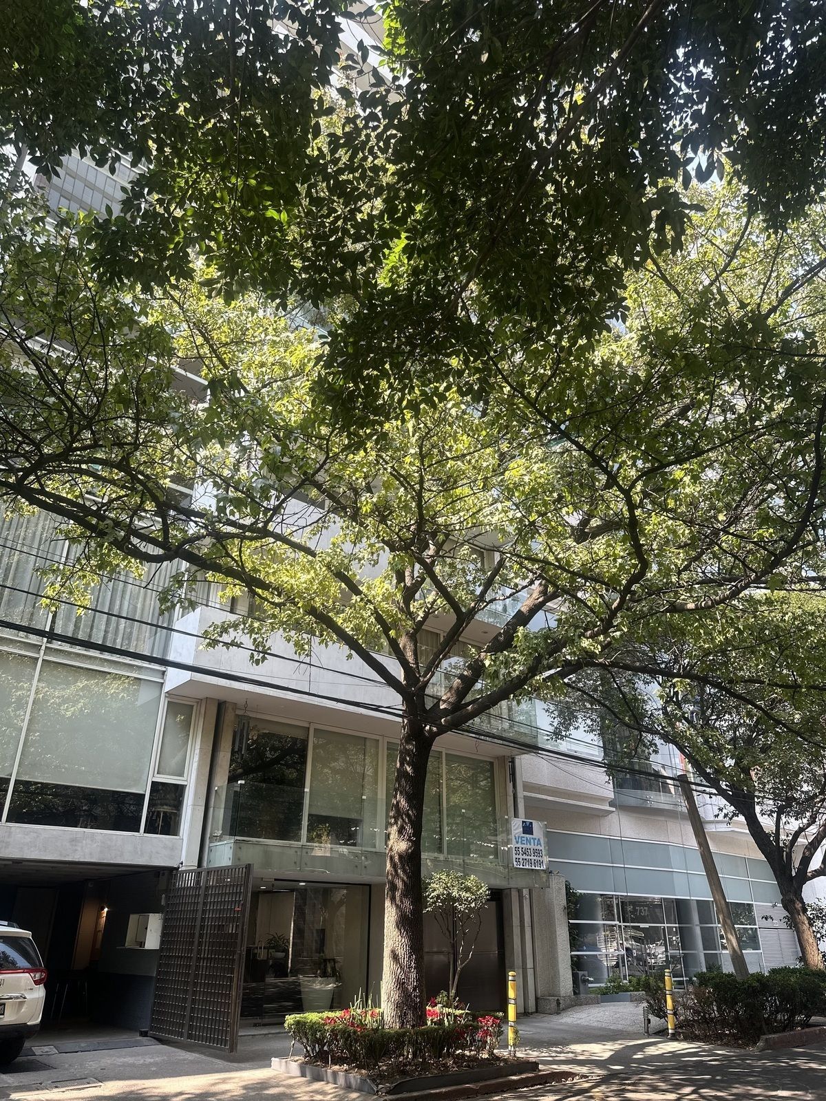 Departamento en Polanco V Sección, Miguel Hidalgo, foto 11 de 23