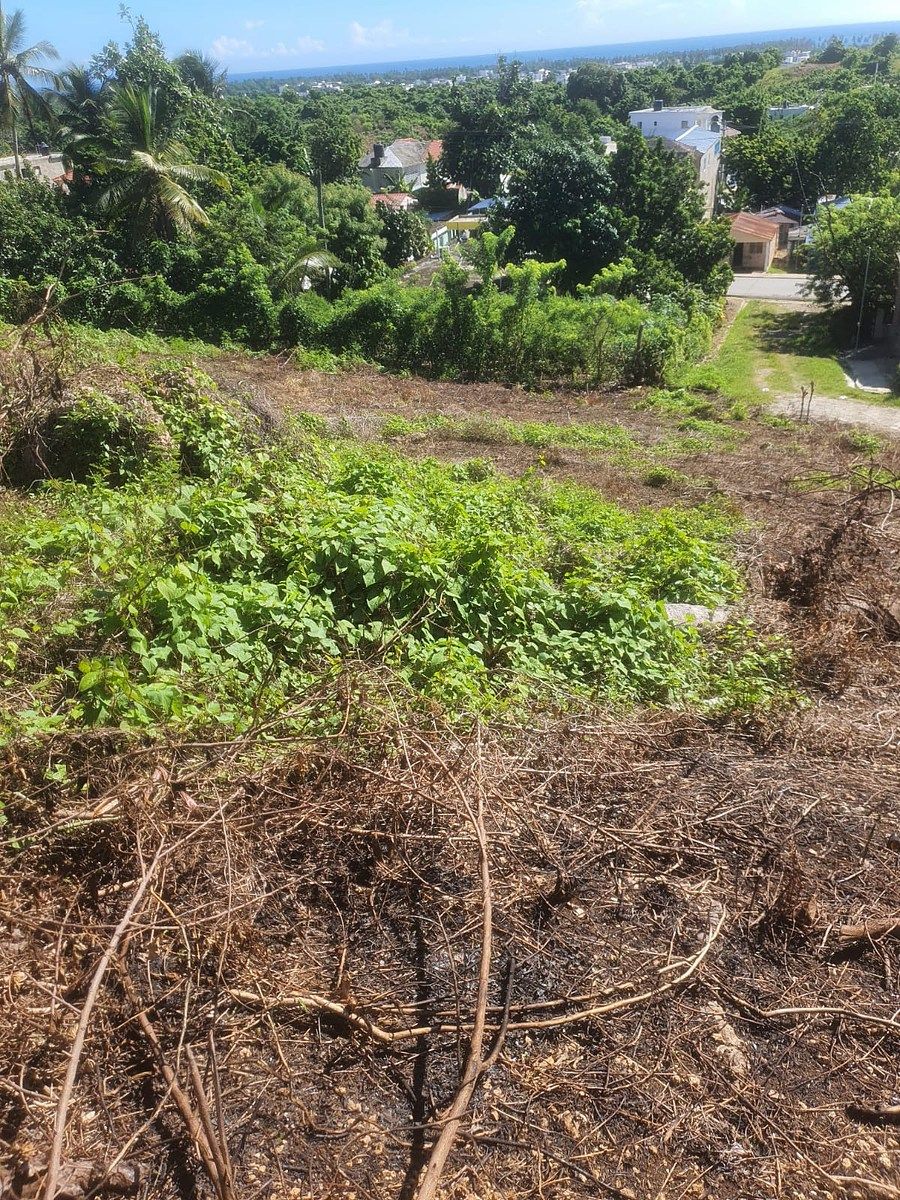 Terreno en Nagua, foto 5 de 7