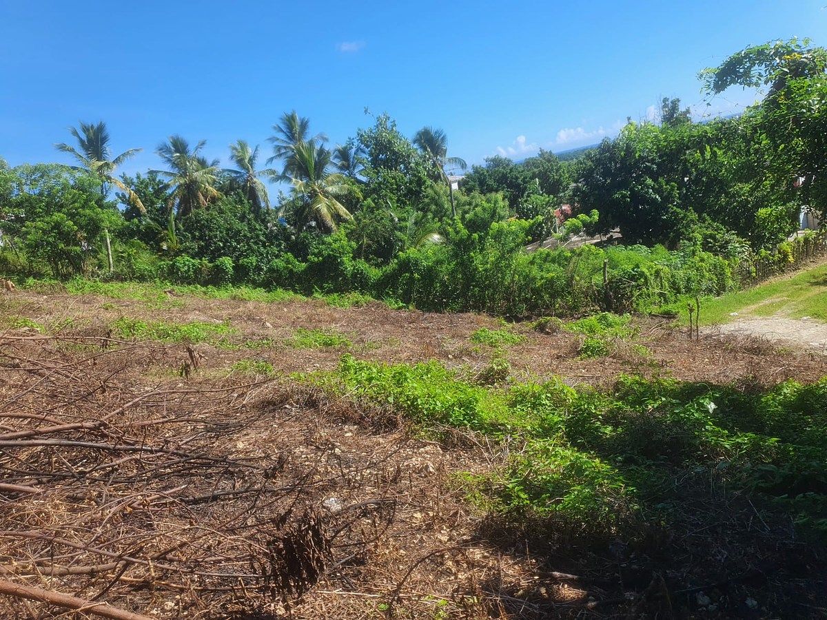 Terreno en Nagua, foto 7 de 7