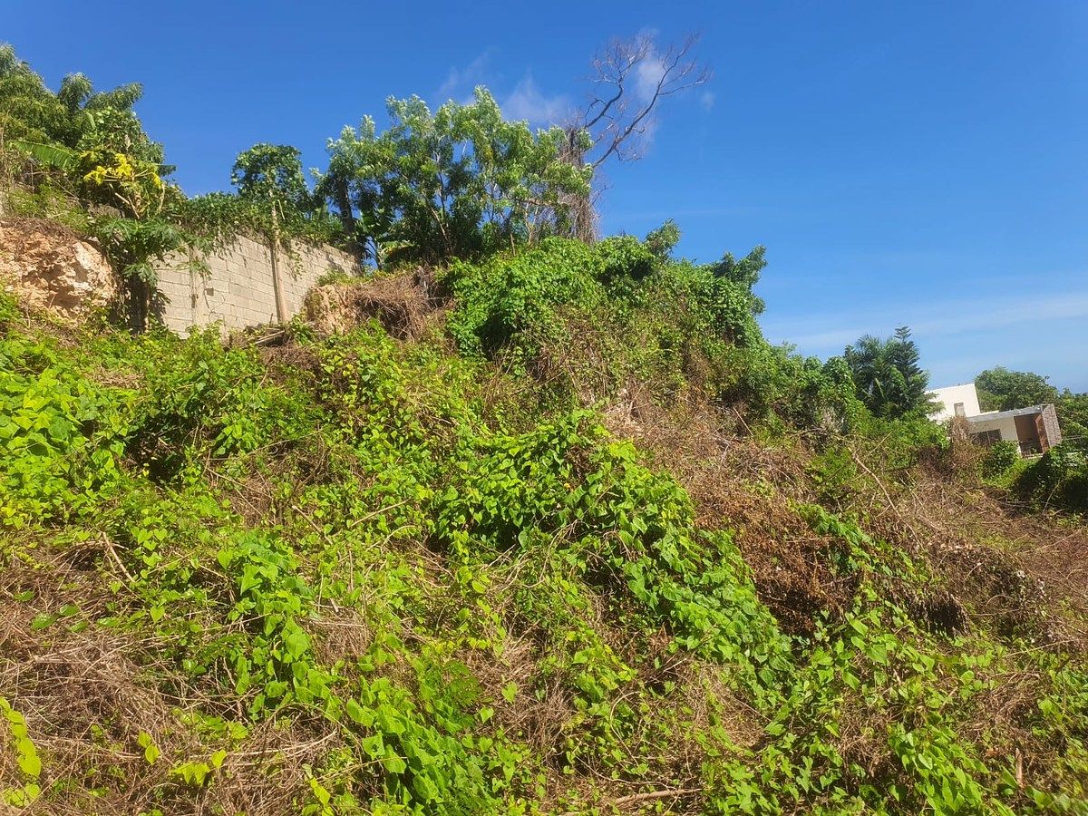 Terreno en Nagua, foto 6 de 7