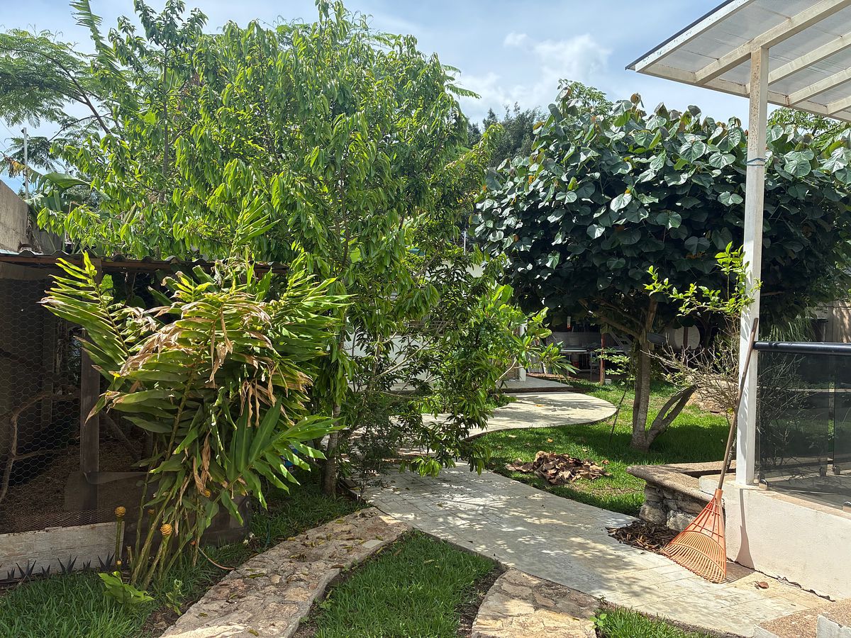 Casa en Ocozocoautla de Espinosa Centro, Ocozocoautla de Espinosa, foto 21 de 36