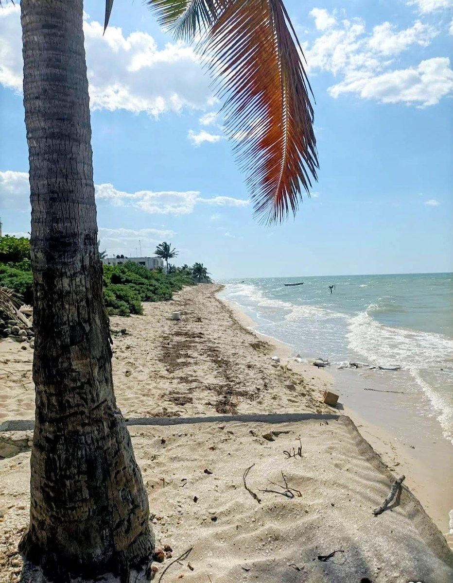 TERRENO EN SAN BENITO A UNOS MTS DE LA PLAYA, foto 1 de 6