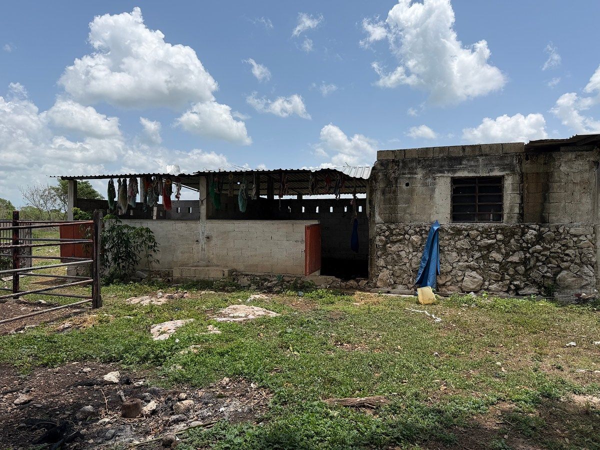 Rancho en venta en Ixil Yucatán., foto 1 de 8