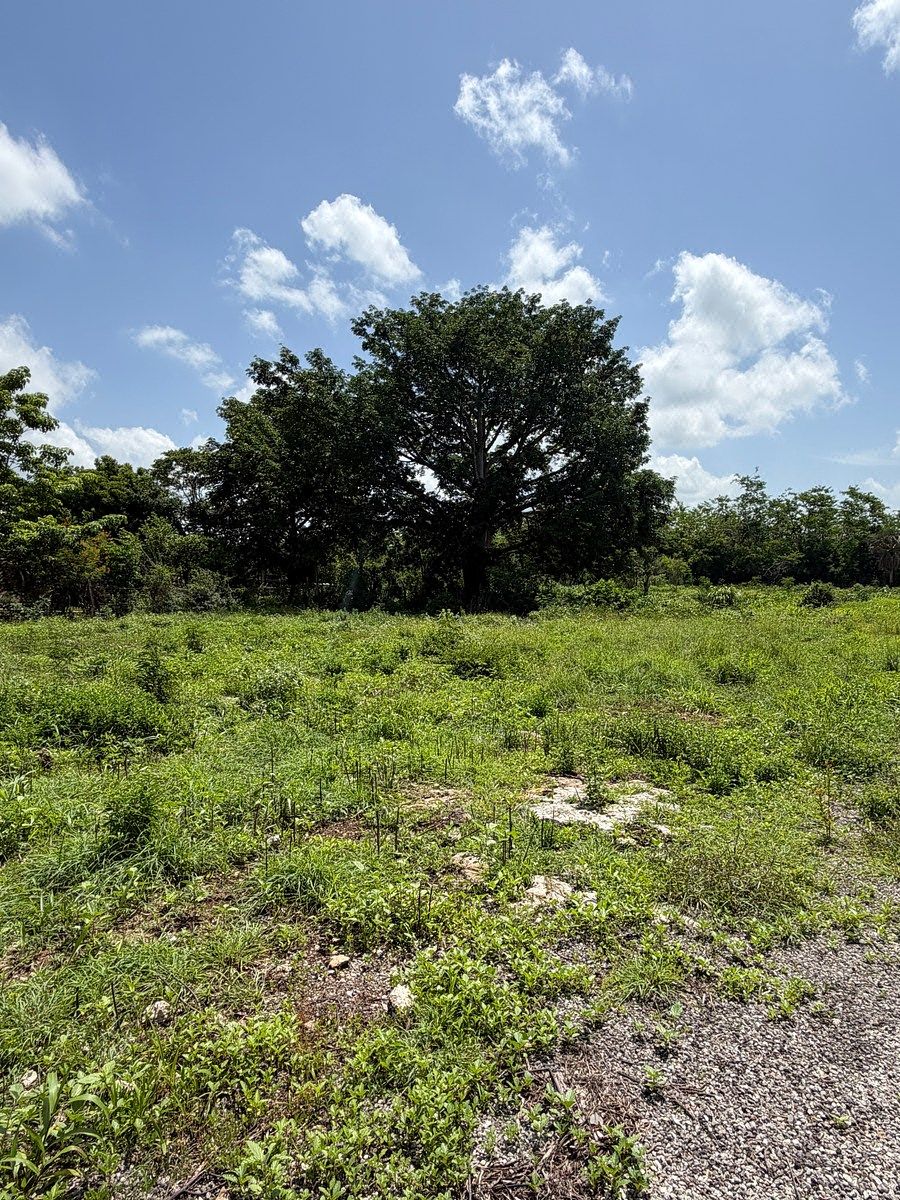 Lote em Chicxulub, Chicxulub Pueblo, foto 3 de 9