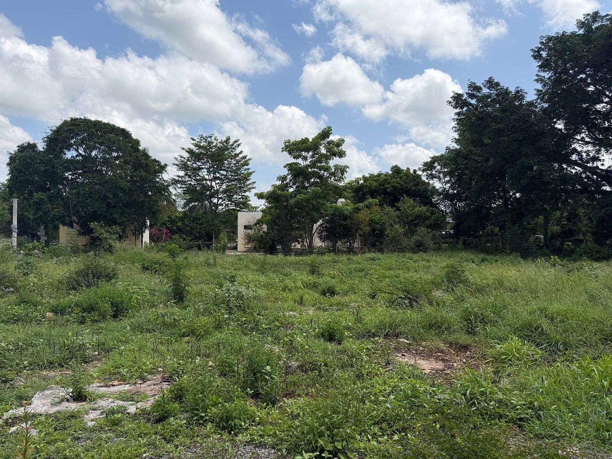 Lote em Chicxulub, Chicxulub Pueblo, foto 4 de 9