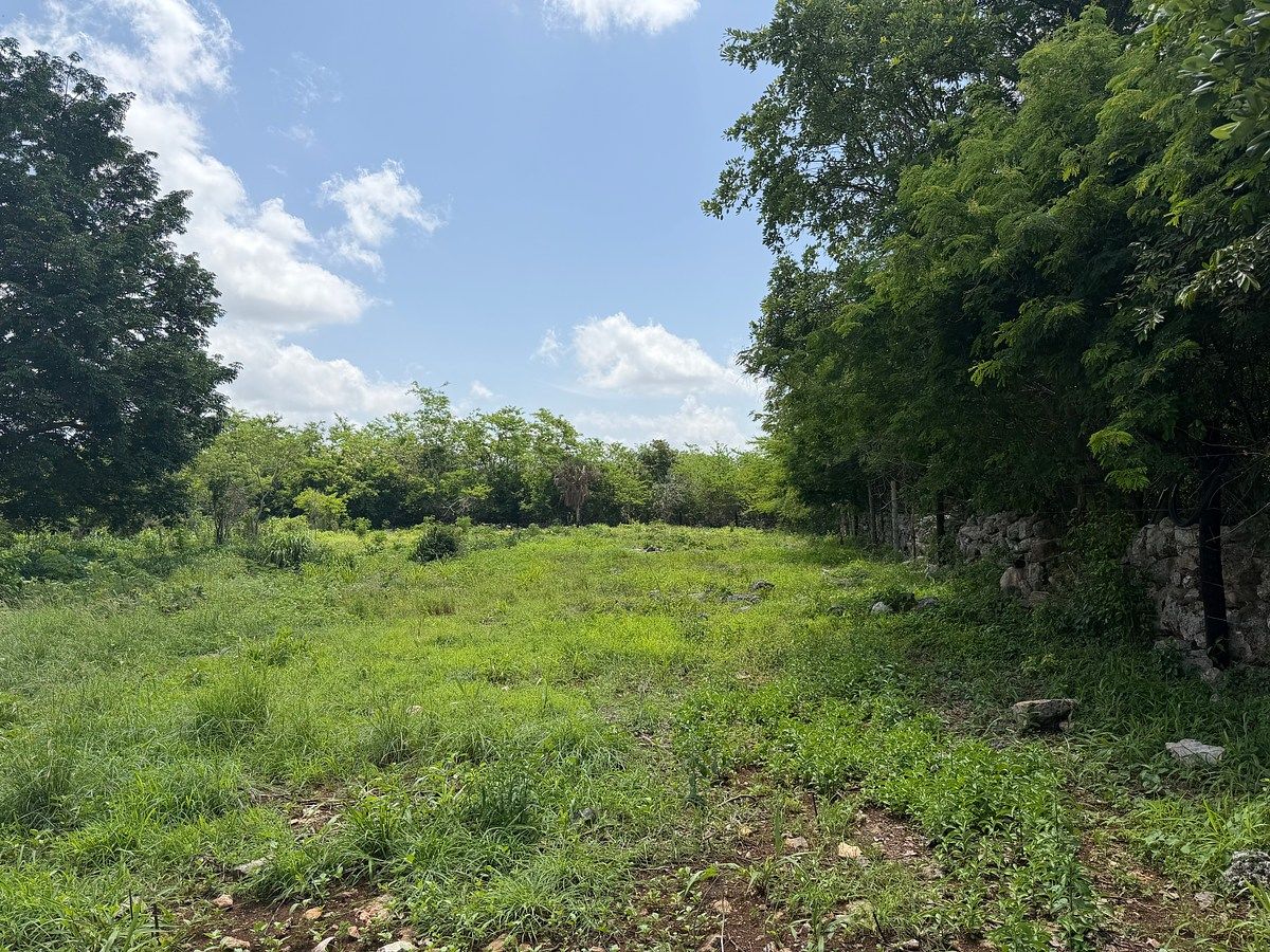 Lote em Chicxulub, Chicxulub Pueblo, foto 6 de 9