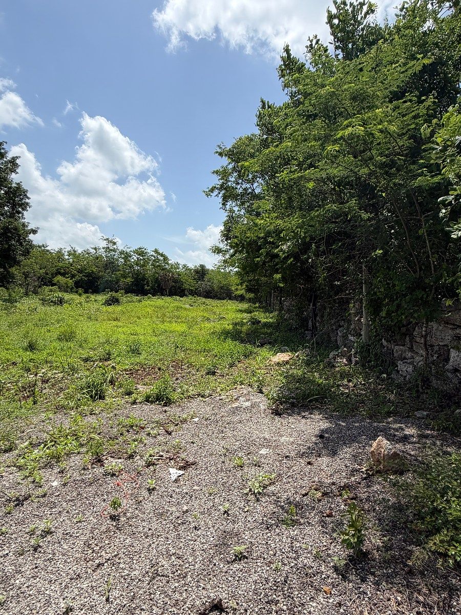 Lote em Chicxulub, Chicxulub Pueblo, foto 7 de 9
