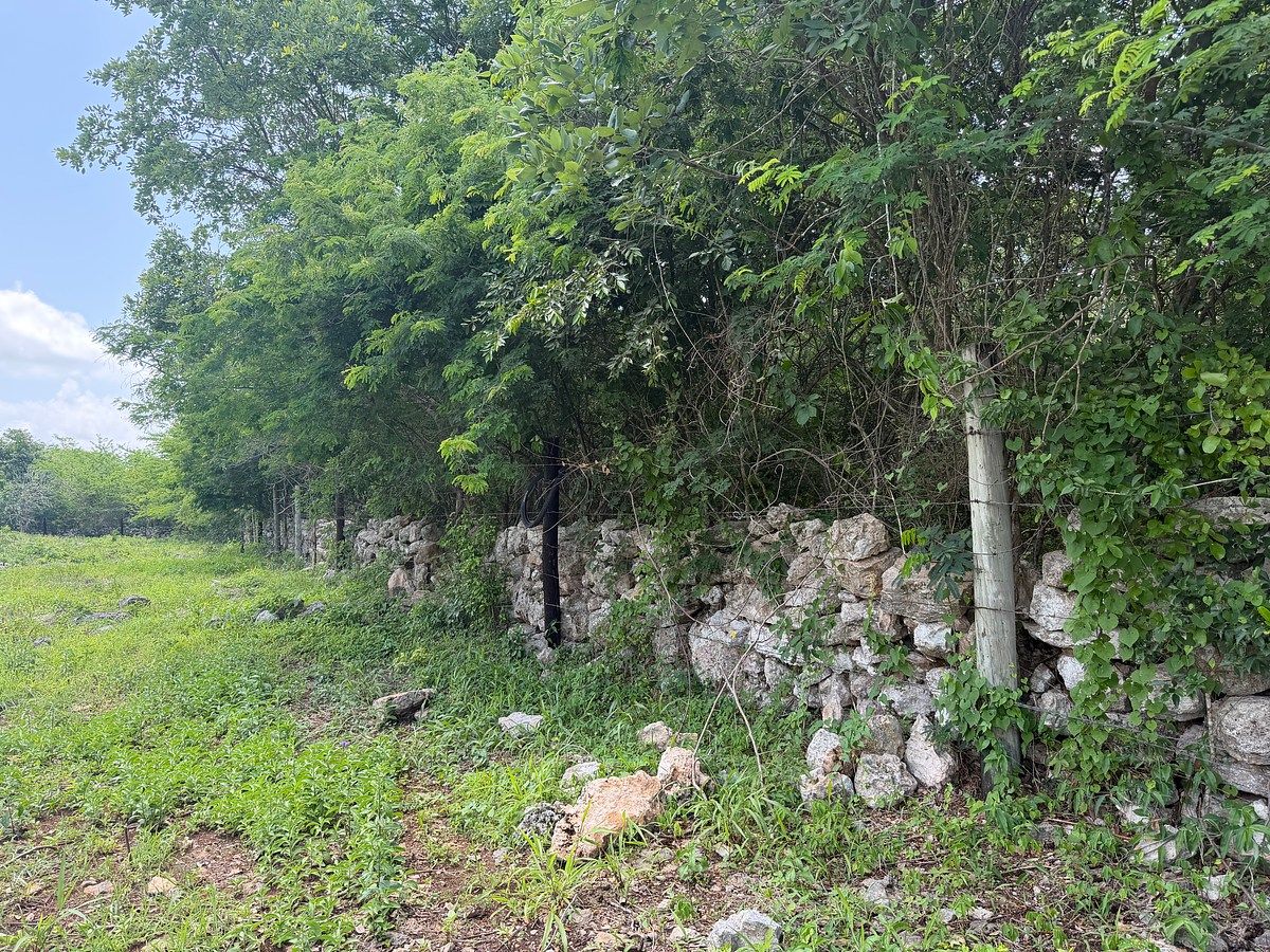 Lote em Chicxulub, Chicxulub Pueblo, foto 8 de 9