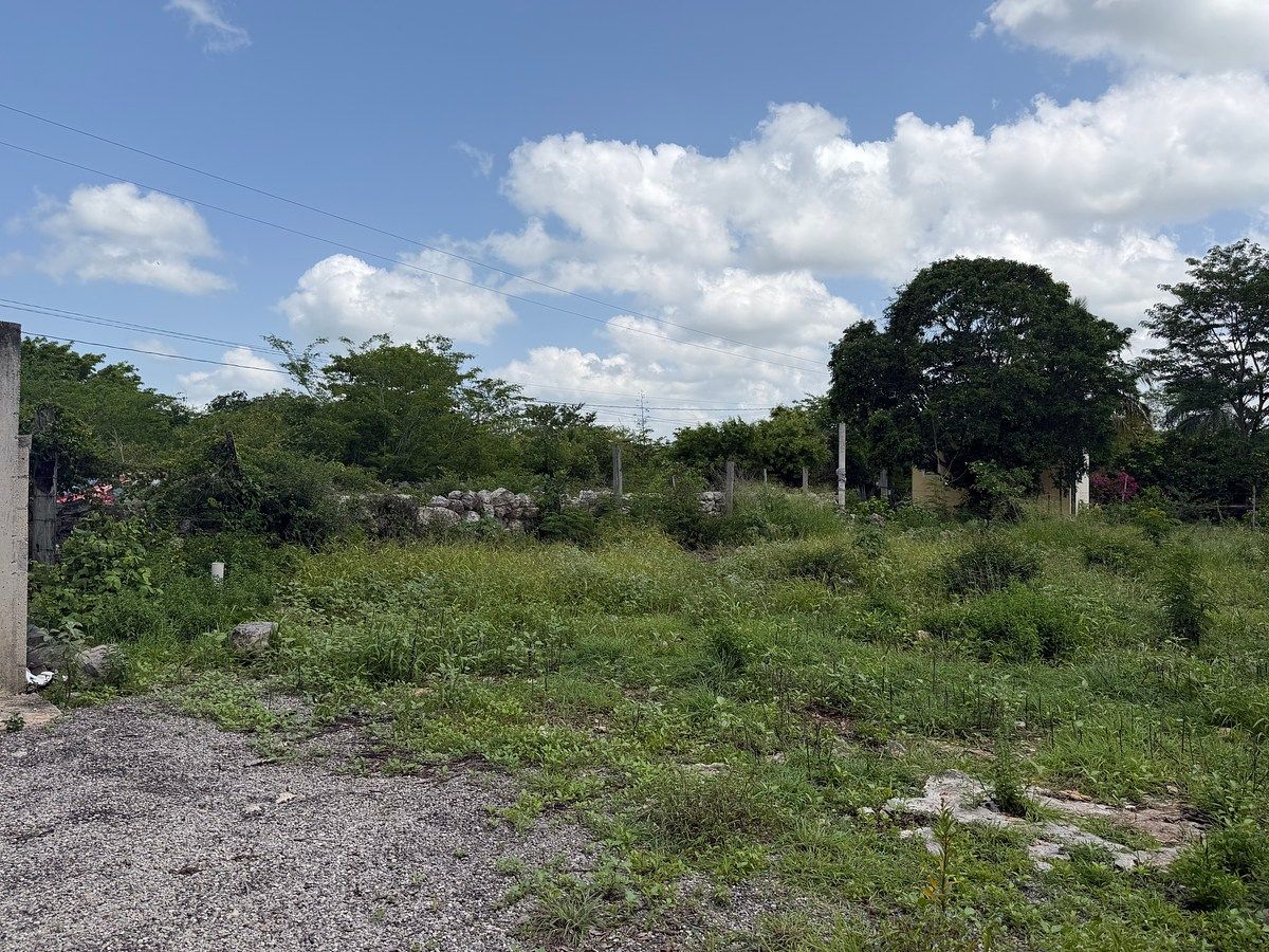 Lote em Chicxulub, Chicxulub Pueblo, foto 9 de 9