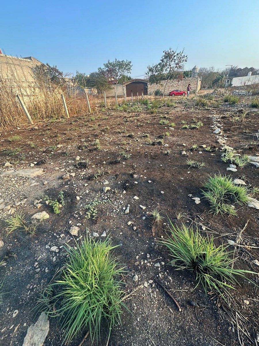 Lote em San José Terán, Tuxtla Gutiérrez, foto 3 de 4