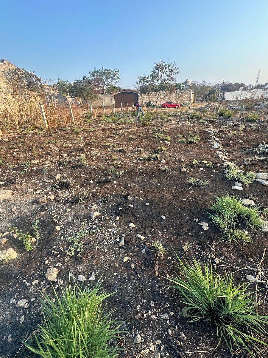 Lote em San José Terán, Tuxtla Gutiérrez, foto 4 de 4