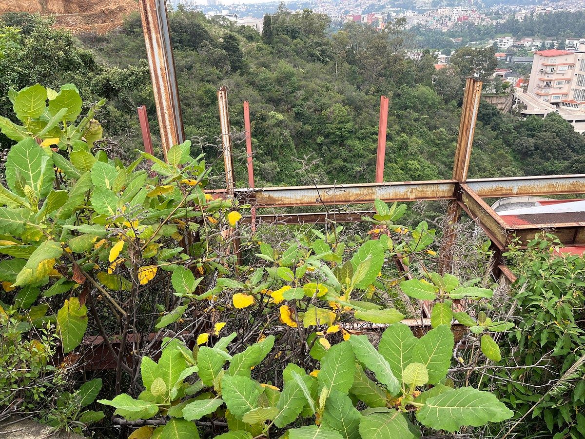 Terreno en Bosque Real, Huixquilucan, foto 7 de 12