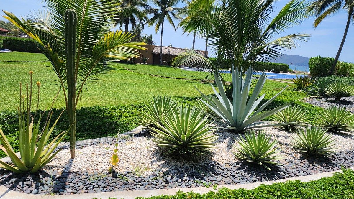 Apartamento em Playa Blanca, Zihuatanejo de Azueta, foto 7 de 39