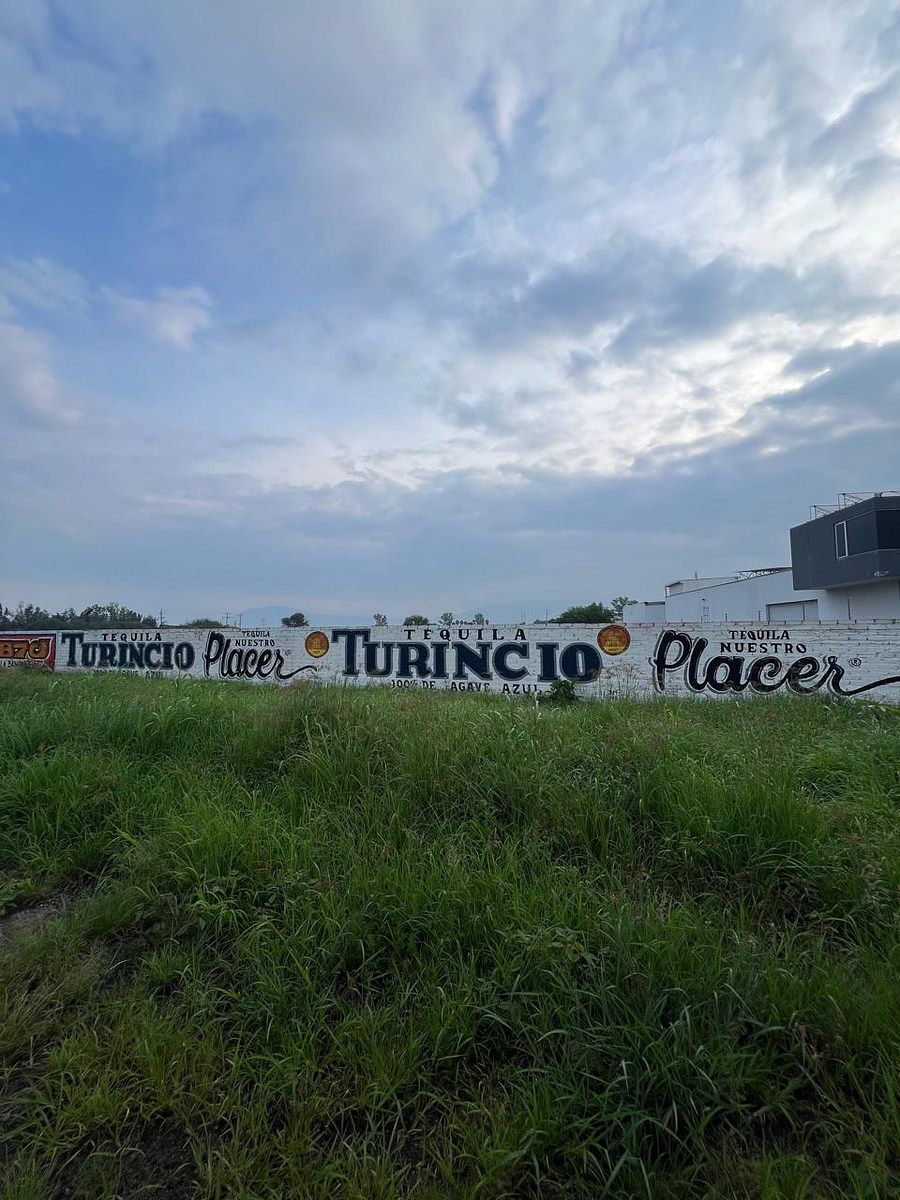 Lote em Los Pinos, Tlajomulco de Zúñiga, foto 4 de 17