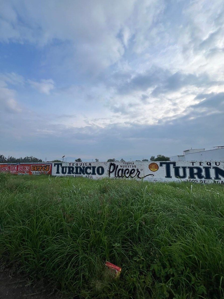 Lote em Los Pinos, Tlajomulco de Zúñiga, foto 3 de 17