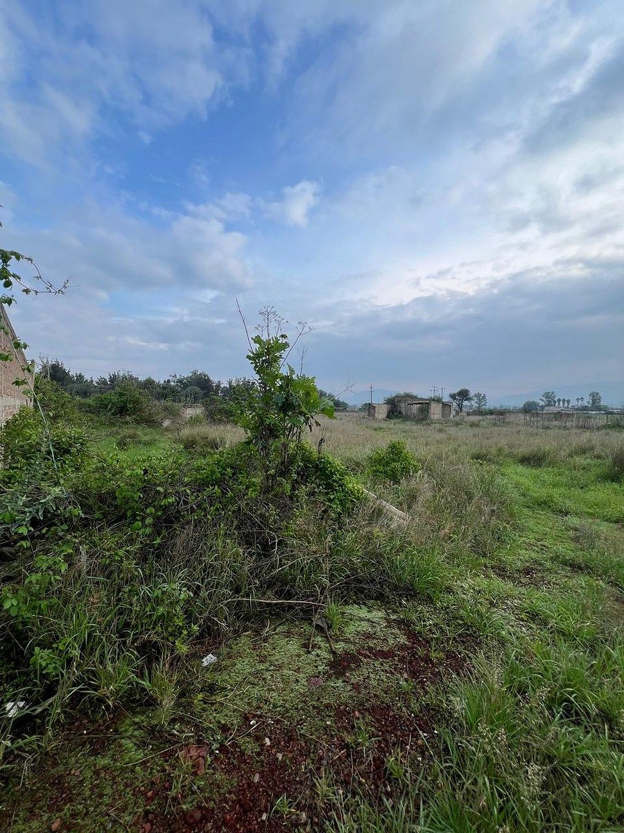 Lote em Los Pinos, Tlajomulco de Zúñiga, foto 6 de 17