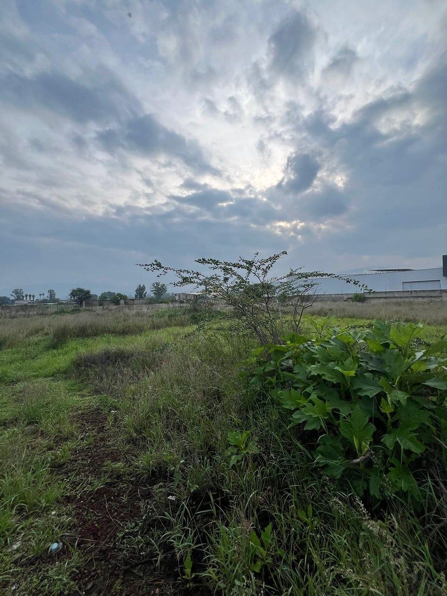 Lote em Los Pinos, Tlajomulco de Zúñiga, foto 8 de 17