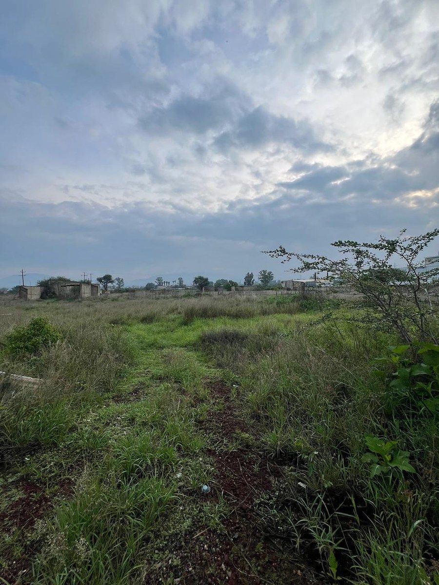 Lote em Los Pinos, Tlajomulco de Zúñiga, foto 10 de 17