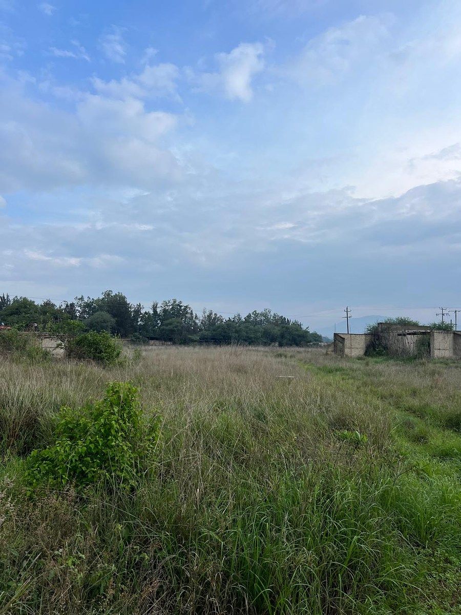 Lote em Los Pinos, Tlajomulco de Zúñiga, foto 11 de 17