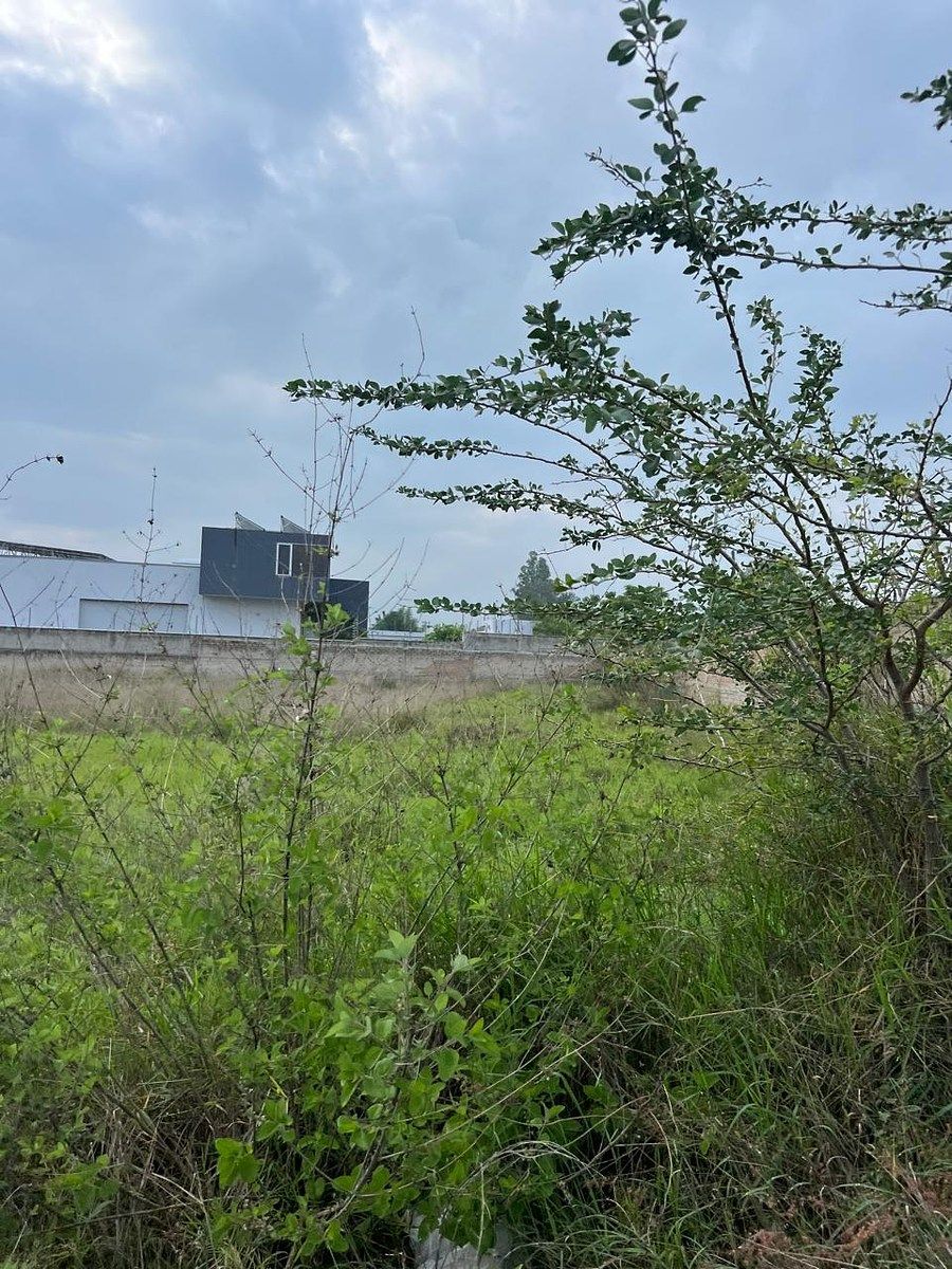 Lote em Los Pinos, Tlajomulco de Zúñiga, foto 13 de 17