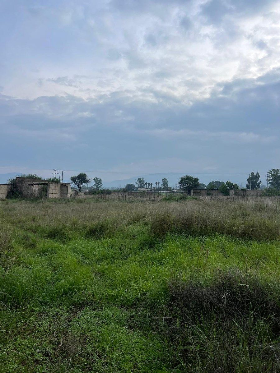Lote em Los Pinos, Tlajomulco de Zúñiga, foto 15 de 17