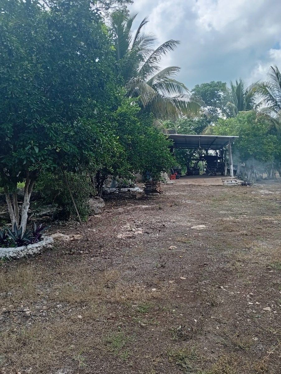 Rancho en Yalsihon, Panabá, foto 2 de 15