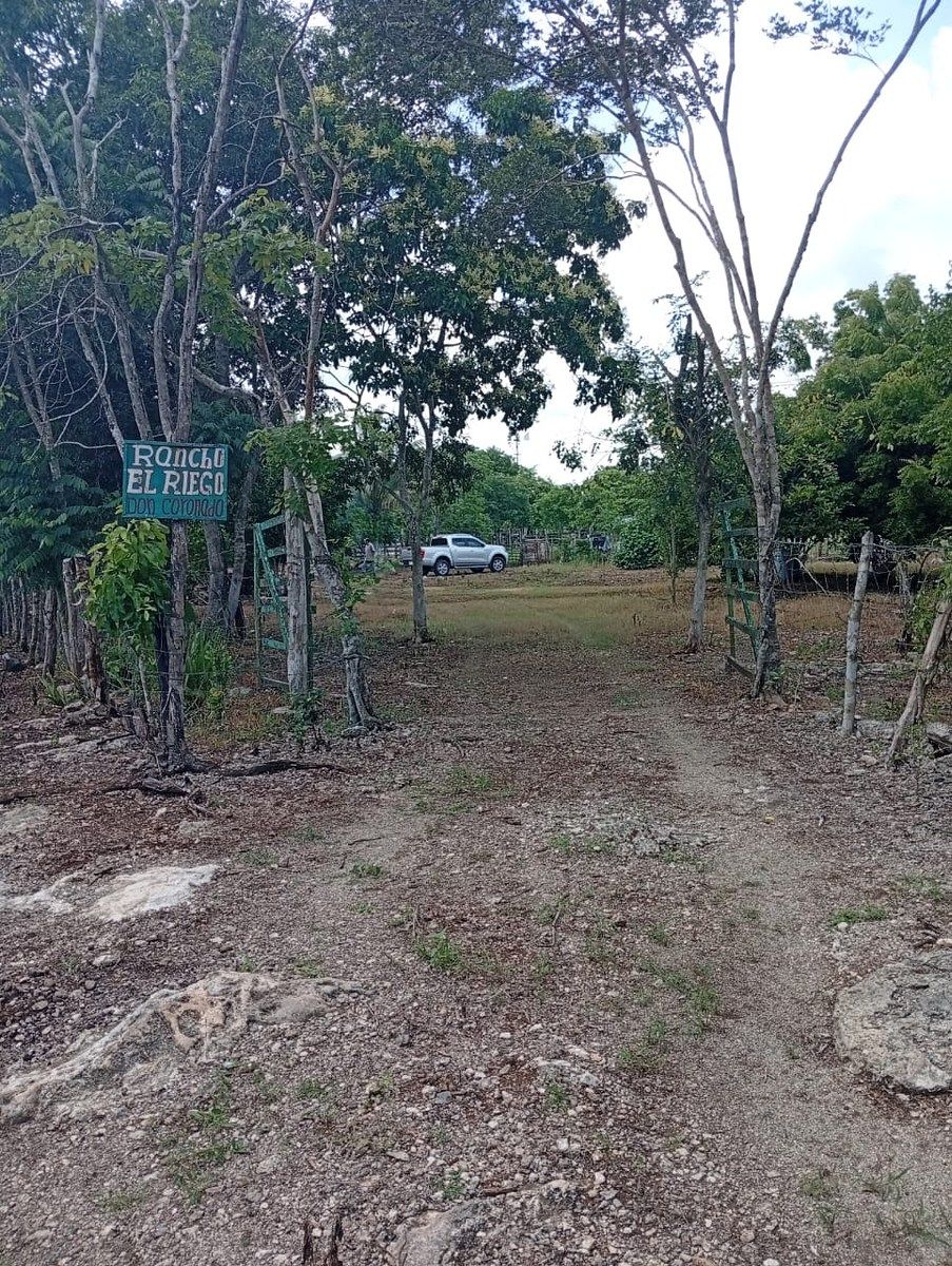 Rancho en Yalsihon, Panabá, foto 3 de 15