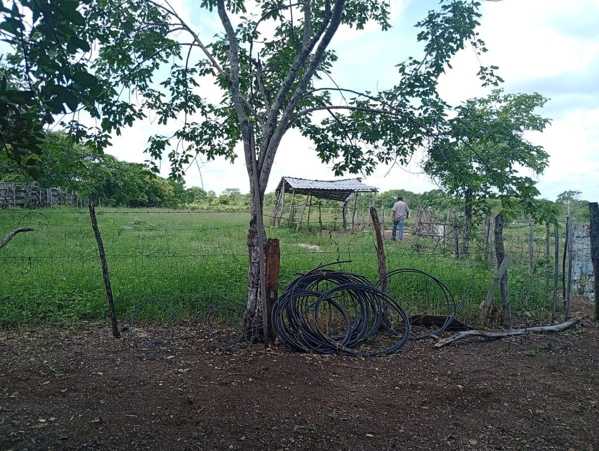 Rancho en Yalsihon, Panabá, foto 4 de 15