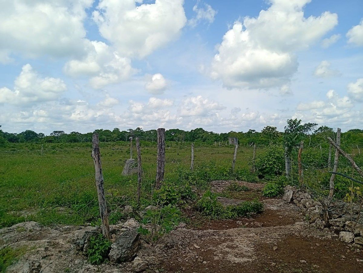 Rancho en Yalsihon, Panabá, foto 5 de 15