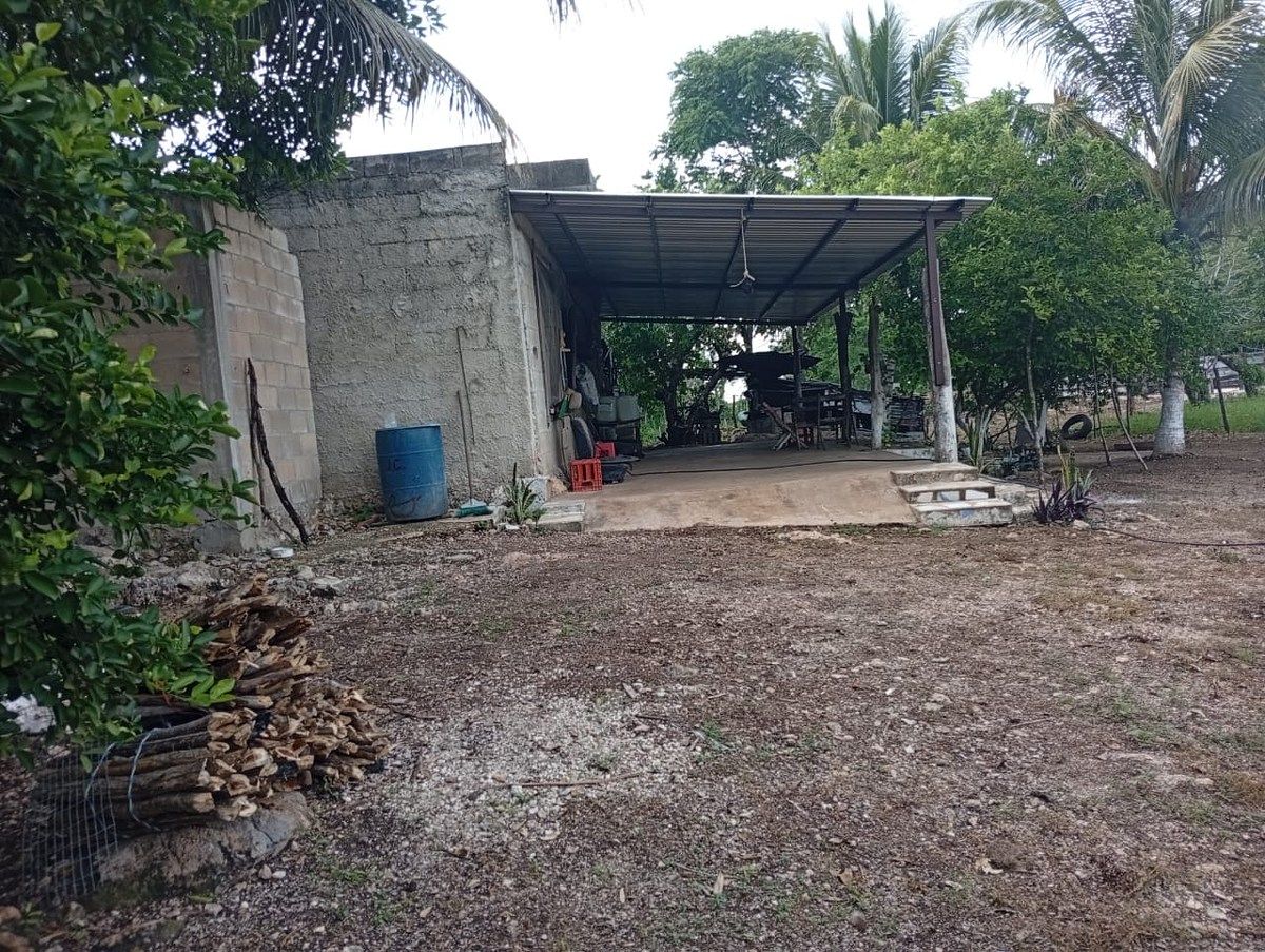 Rancho en Yalsihon, Panabá, foto 6 de 15