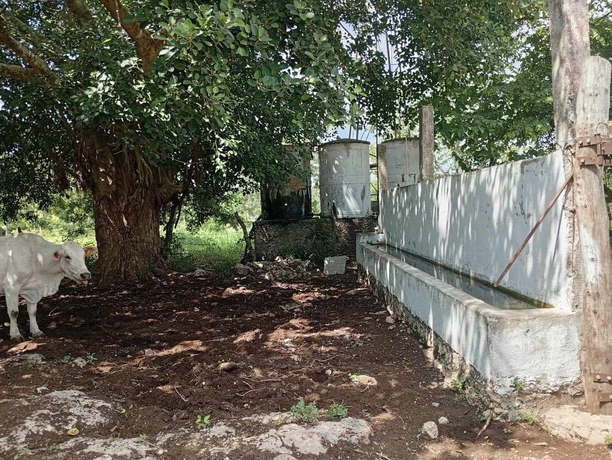 Rancho en Yalsihon, Panabá, foto 8 de 15