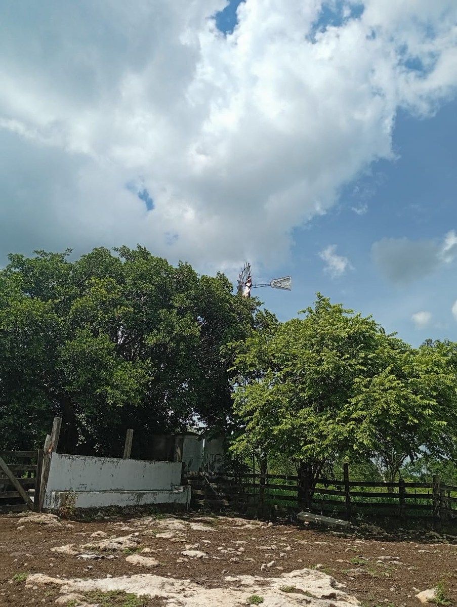 Rancho en Yalsihon, Panabá, foto 9 de 15
