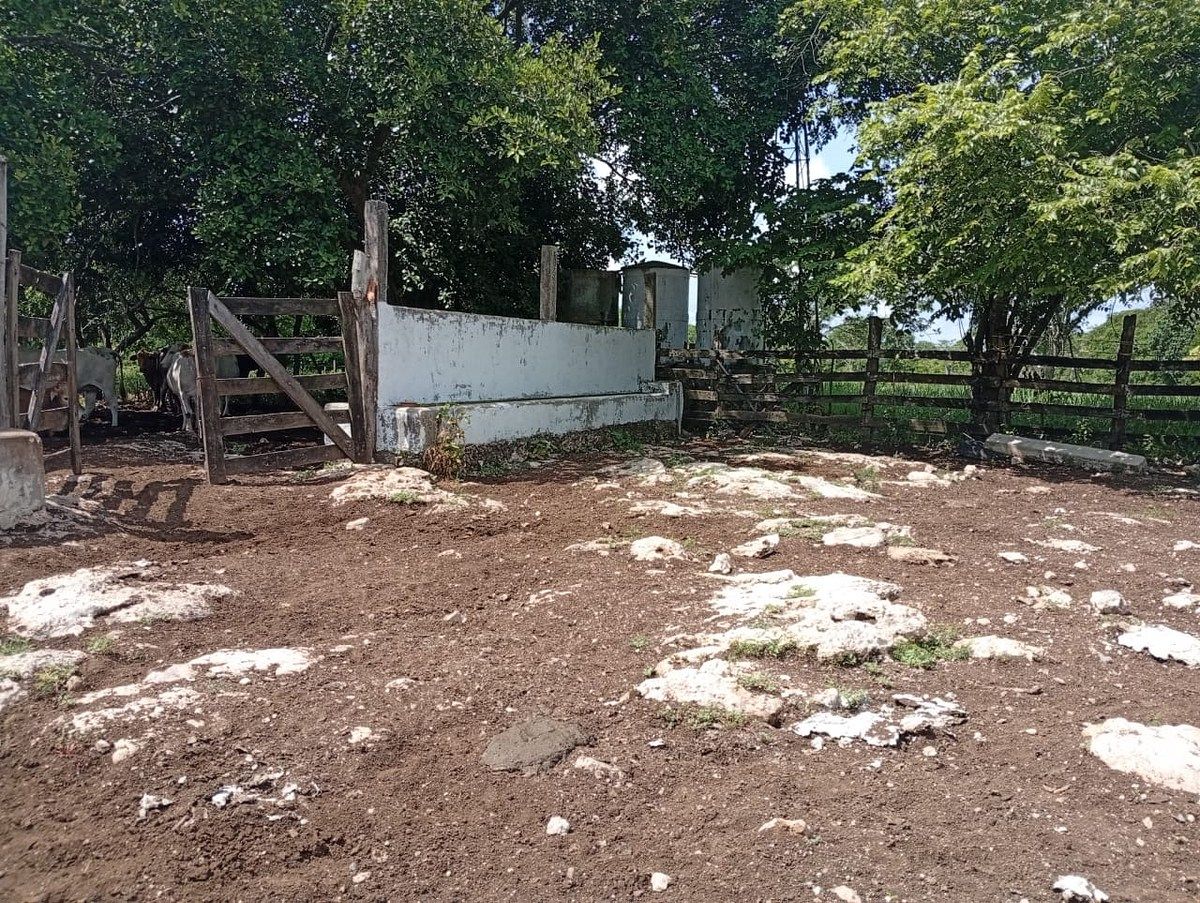 Rancho en Yalsihon, Panabá, foto 10 de 15