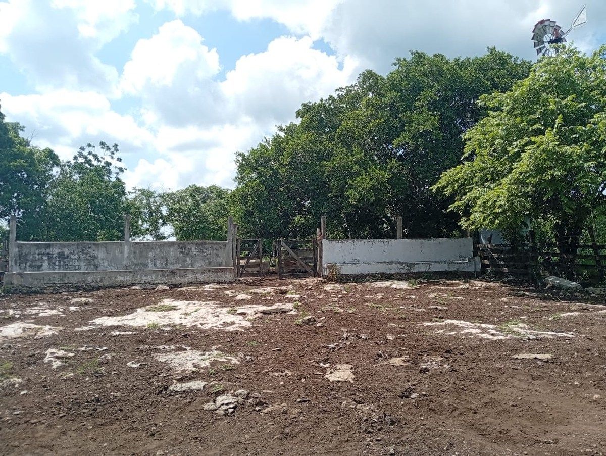 Rancho en Yalsihon, Panabá, foto 11 de 15