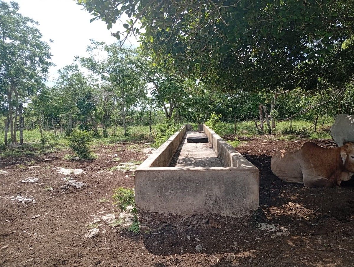 Rancho en Yalsihon, Panabá, foto 12 de 15