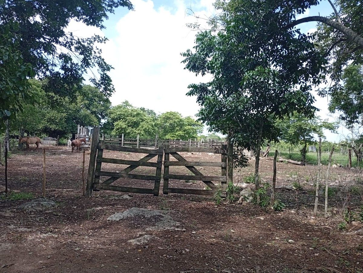 Rancho en Yalsihon, Panabá, foto 13 de 15
