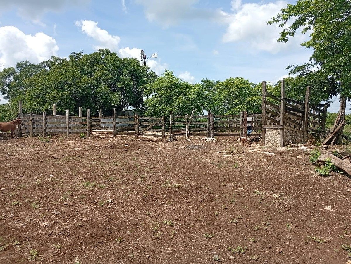 Rancho en Yalsihon, Panabá, foto 14 de 15