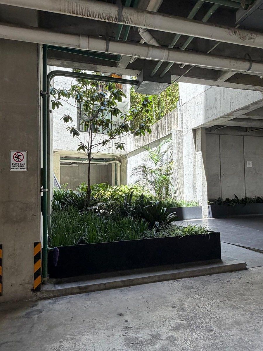 Departamento en Centro (Área 4), Cuauhtémoc, foto 19 de 21