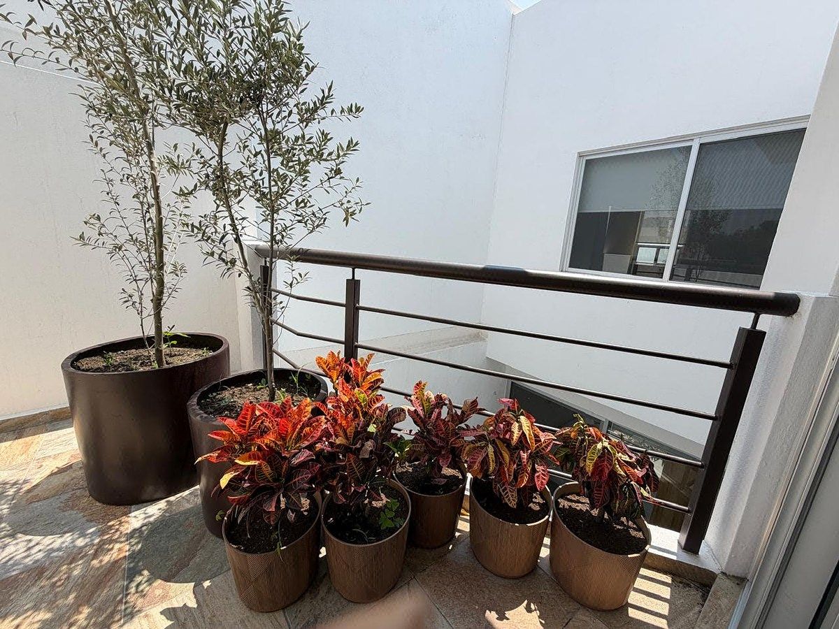 House in Ciudad Marqués, El Marqués, photo 14 of 26