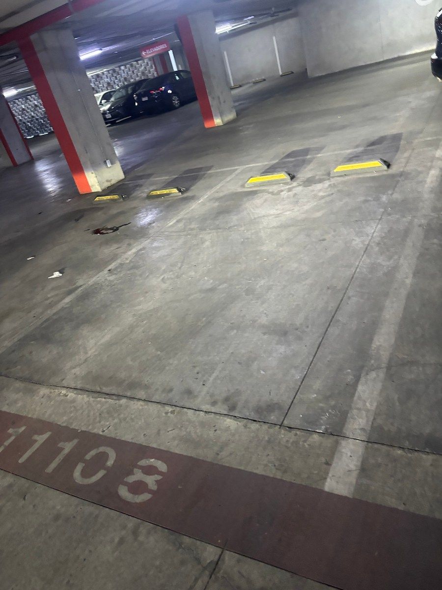 Departamento en El Vigía, Zapopan, foto 12 de 15