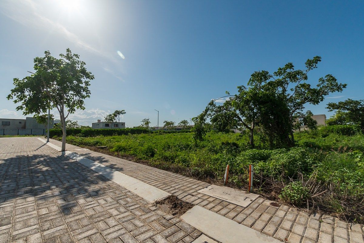 Lote em Temozón Norte, Mérida, foto 12 de 12