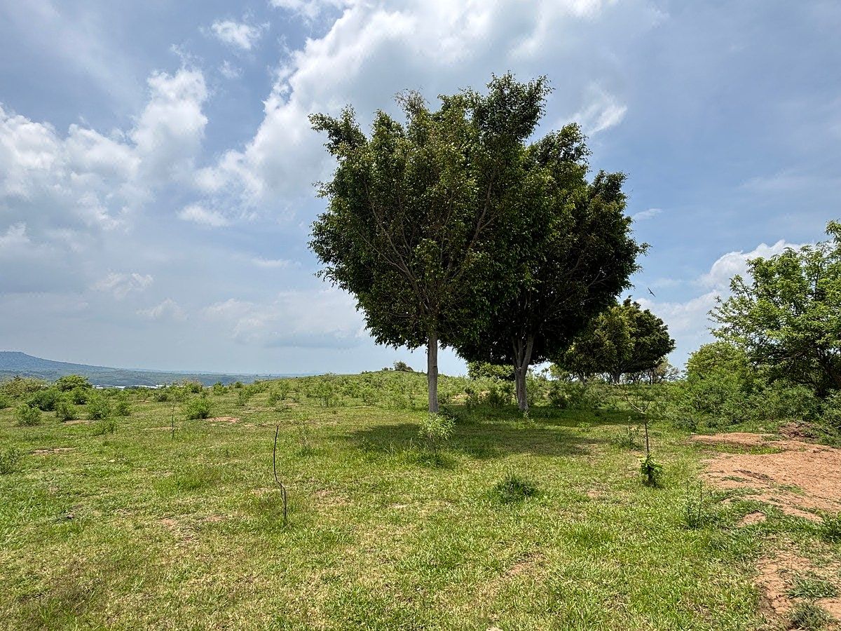 TERRENO À VENDA EM POTRERO SANTIAGO, YAUTEPEC MORELOS, foto 1 de 19