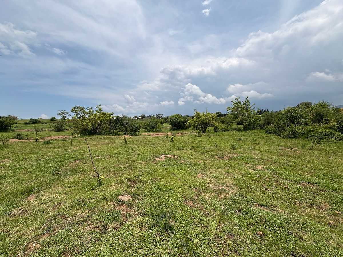 Lote em Lomas del Potrero, Yautepec, foto 4 de 19